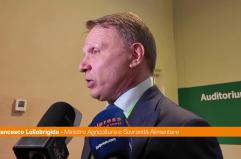 Lollobrigida "Rilanciamo il servizio civile in agricoltura"