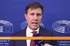 Mercosur, Nardella "Positive nuove clausole di salvaguardia per l'agricoltura"