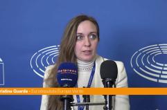 Mercosur, Guarda "Clausole di facciata per rendere l'accordo digeribile"