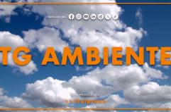 Tg Ambiente - 15/2/2026