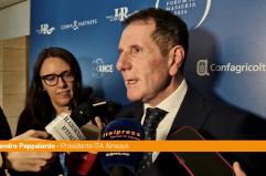 ITA, Pappalardo "Sostenibilit&agrave; e network intercontinentale pilastri strategia"
