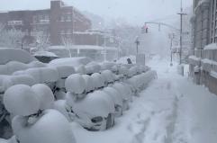 New York sotto la neve, Brooklyn resiste e i bambini si divertono