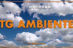Tg Ambiente - 1/3/2026