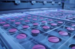 Novartis, la formazione al centro dei nuovi processi produttivi