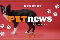 PetNews Magazine - 16/3/2026