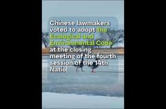 Cina, un nuovo codice ecologico per tutelare l'ambiente