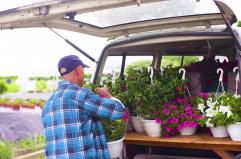 Florovivaismo, comparto strategico: produzione oltre 3 miliardi