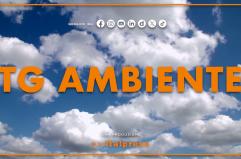 Tg Ambiente - 22/3/2026