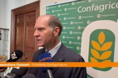 Giansanti "La salicoltura settore fondamentale per l'economia"