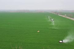 Cina, una fattoria smart trasforma la coltivazione dei cereali