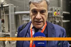 Rummo "Nelle ultime settimane non ci sono stati aumenti del prezzo della pasta"