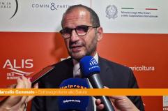 Governo, Gemmato "Rimpasto? Non lo vedo all'orizzonte"