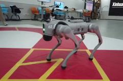 Cina: cani robot controllati con la mente diventano realt&agrave; a Xi'an