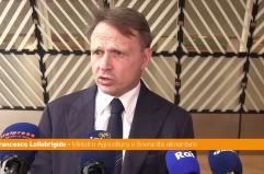 Agricoltura, Lollobrigida "Sui costi di produzione non si pu&ograve; pi&ugrave; perdere tempo"