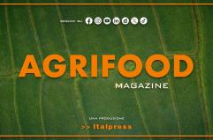 Agrifood Magazine - 11/2/2026