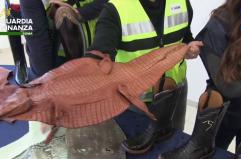 Scoperto all'aeroporto di Fiumicino un traffico illegale di pelli di rettile