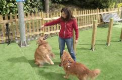 A MagicLand nasce DogLand - Anas, area dedicata al divertimento dei cani