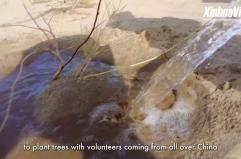 Cina, 41 mila giovani volontari impegnati dal 2024 contro la desertificazione