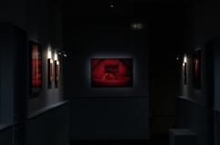 Alle Gallerie d'Italia di Torino la mostra "Diana Markosian. Replaced"