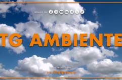 Tg Ambiente - 12/4/2026