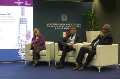 Ismea, la filiera italiana del vino tra crescita e nuove sfide