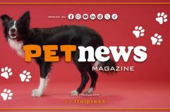 PetNews Magazine - 13/4/2026