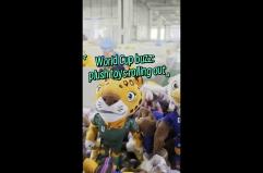 Cina: Mondiali di calcio, fabbrica produce peluche destinati a tutto il mondo