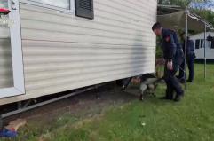 Furti in abitazione tra Friuli e Veneto: 5 misure cautelari, 4 in carcere