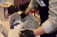 21 misure cautelari a Firenze per traffico e spaccio di droga