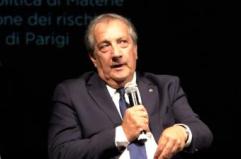 Legno, Semeraro (Rilegno): "Consorzio impegnato ad ottimizzare risorse forestali"