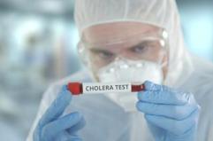 Impennata del colera nel 2024, Oms: "Più 50% morti e crisi continua nel 2025"