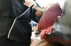Alimenti: nello Spezzino intossicati dopo aver mangiato tonno al ristorante, in 2 al Ps