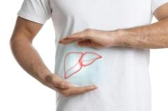 Steatosi epatica, studio dimostra efficacia nutraceutico con alghe brune