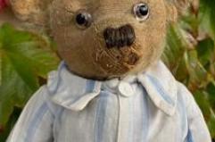 "A Teddy Bear serve un nuovo look". L'appello della scienza per peluche eco-maestri