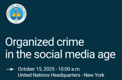 “Le mafie nell’era digitale. Focus TikTok”, rapporto Fondazione Magna Grecia domani all'Onu