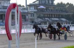 Ippica, Stoppini (Snai): "L''Orsi Mangelli' torna a Milano, a San Siro il grande trotto"