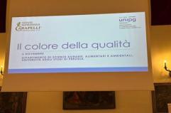 Olio, Inc: "Nuove evidenze scientifiche per preservare qualità evo in bottiglia"