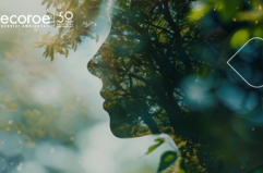 Ecoroe, da 50 anni trasforma sfide ambientali in soluzioni sostenibili