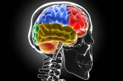 Sclerosi multipla, Bandiera (Aism): "Caregiver fondamentali ma ancora invisibili"