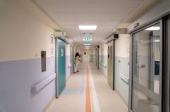 Candida auris, studio svela possibile tallone d'achille del fungo killer che spaventa ospedali