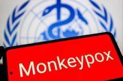 Vaiolo delle scimmie, Oms: "Mpox continua a circolare, a novembre 2.150 casi e 5 morti"