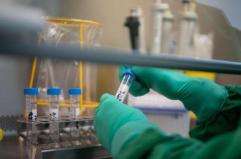 Prostata, svelata la rotta segreta delle infezioni: la scoperta rivoluzionaria