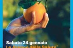 Le Arance Airc accendono la ricerca contro il cancro, scienziata tedofora e Goggia testimonial