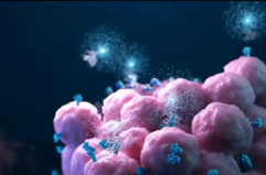 Tumori: prostata, 'in Lombardia e Basilicata primi progetti di screening, ora regia nazionale'