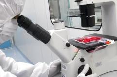 Cellule Car-T e malattie autoimmuni, studio del Bambino Ges&ugrave; conferma l'efficacia