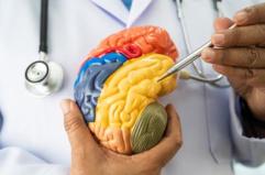 Malattie neuromuscolari e miastenia grave, nasce academyX per l'alta formazione