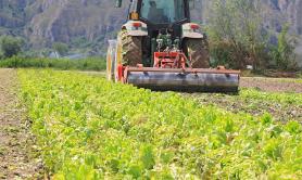 Permessi di soggiorno a falsi braccianti extracomunitari, 11 arresti per immigrazione clandestina tra Bari e la Basilicata