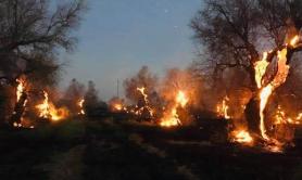 Incendi incontrollati in Salento, Cia: &laquo;Rischio disastro ambientale&raquo;