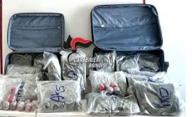 Fasano, alla fermata del bus con 20kg di droga in valigia: due arresti