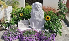 Canosa, un monumento per nuvola il cane amato da tutti